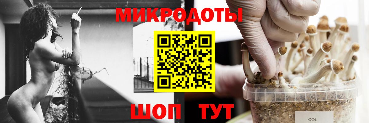 Галлюциногенные грибы Psilocybine cubensis  Вход с VPN  продажа наркотиков  Кизляр 